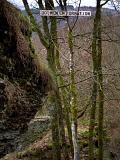 IMG_0056