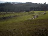 IMG_0186