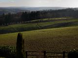 IMG_0193