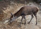 2011-01_50ansEric-138