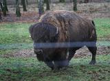2011-01_50ansEric-162
