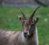 2011-01_50ansEric-169