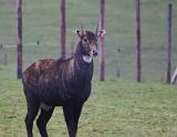 2011-01_50ansEric-172