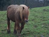 2011-01_50ansEric-173