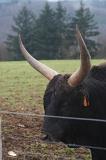 2011-01_50ansEric-174