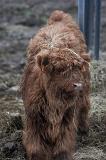 2011-01_50ansEric-175