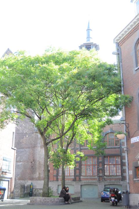 DSC_1514.JPG