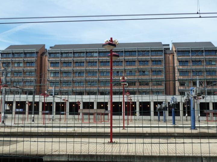 P1000678.JPG