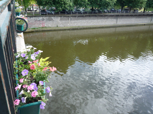 P1090080.JPG