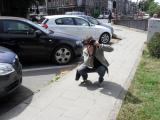 BSAM_0172