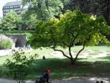 ISAM_0044