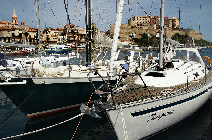 IMG_4506.jpg