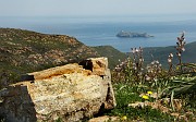IMG_4392