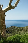 IMG_4414