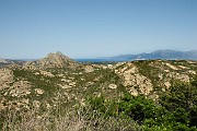 IMG_4421