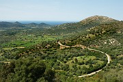IMG_4428