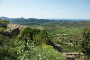 IMG_4433