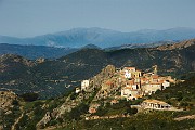 IMG_4442