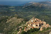 IMG_4444