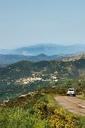 IMG_4446