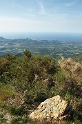IMG_4454