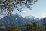 IMG_4457