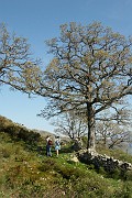 IMG_4458