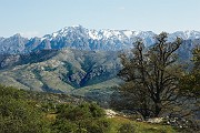 IMG_4459