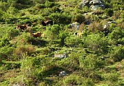 IMG_4472