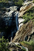 IMG_4477