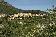 IMG_4478