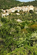 IMG_4479
