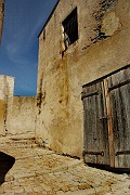 IMG_4484