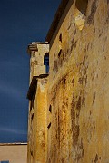 IMG_4493