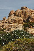 IMG_4509