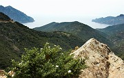 IMG_4511