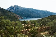 IMG_4516