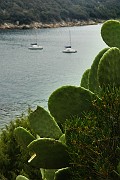 IMG_4518