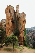 IMG_4522