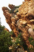 IMG_4523