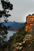 IMG_4527