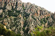 IMG_4538
