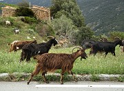 IMG_4547