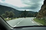 IMG_4548