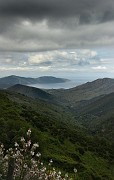 IMG_4551