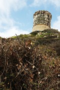 IMG_4555