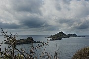 IMG_4559