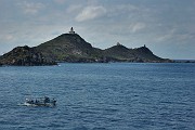 IMG_4566