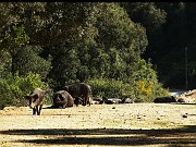 IMG_4586