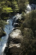 IMG_4597